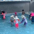 명지국제유치원 이미지