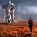 꿈의세계 이미지