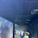 무드서울｜반포한강 씨푸드 레스토랑, 기념일 데이트 추천, 가수 류리 공연 관람후기