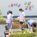 월송초등학교 이미지