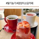 미소담 농장 이미지