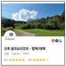 오투 스크린골프 | 골프존 팔도 페스티벌 오투 골프&amp;리조트 매운맛 멘붕 주의!