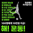 청춘삘딩 이미지