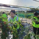 가평군농업협동조합 이미지