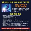 자작나무힐 이미지