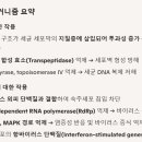 개나리약국
