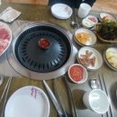 무한돼지