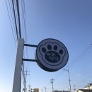 댕댕아리 이미지