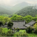 우프우프 이미지