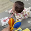 노리(음악)노래 이미지
