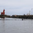 제주공항에서 가장가까운해변 이호해수욕장과 흑돼지고기먹으러 대박식당 고고. 이미지