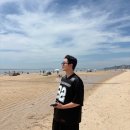 월드레포츠클럽 | 여름여행지 보령 , 대천해수욕장 보령머드축제 WDF 월드디제이페스티벌까지