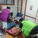 북가좌2동주민센터 이미지