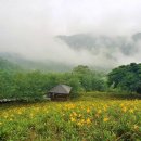 연신농장 Daum카페