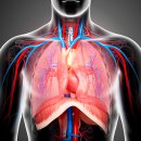 세기메디칼 이미지