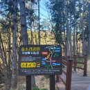 한덕목장 | (거제여행) 거제 양떼목장 숲소리공원/각산숯불갈비정식 후기