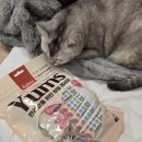 얌스 | 고양이츄르 고민 끝! 6살 냥이도 반한 국내산 얌스츄르 닭가슴살 먹여 본 후기