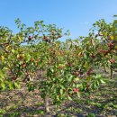 산외면행정복지센터 이미지