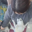 한주동물병원 이미지