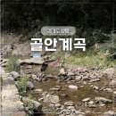 골안계곡 | 한적한 서울 근교 물놀이, 아기랑 양평 골안계곡 평상 대여(취사 가능)