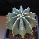 관용농장 이미지