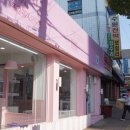 셀럽퍼피 이미지