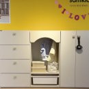 낙동강변로R2-22 | 구미 한샘 샘키즈 옷장세트 최대 22% 할인 특가 기간 임박