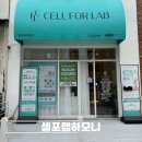 셀포랩하모니 식사동 다이어트 누워서 림프순환 및 다이어트 한 후기