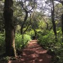 빨간머리몽 게스트하우스 이미지