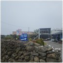 누렁소앤도새기