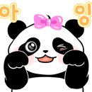 강촌커플가족세이셀펜션 이미지