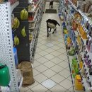 웃음주유소 이미지