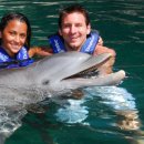 돌고래PC 이미지