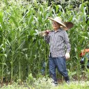 의성수지 이미지