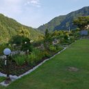 인제 들꽃펜션 이미지