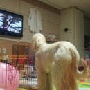 예금농장 이미지