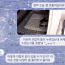 또오옥 이미지