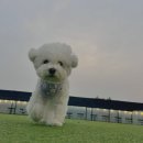 파인드프로덕트