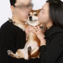 능수사진관