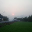 하동댁