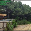 삼현보건진료소 이미지