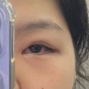(11/23) 성인_자이언트 얀 가방 만들기 | 기본부터 글러먹은 게 마치 나 같다