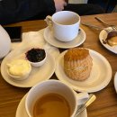 Maison | 런던 소호 스콘맛집(크림티) 메종베르토 솔직 후기 Maison Bertaux