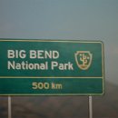 월드스타스크린골프 이미지