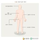 화상의 넓이 계산[9의 법칙(Rule of 9's)] 이미지