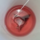 구수향 | 농라[구수향] 보리커피 오르조, 비트차 티백, 갓볶은 옥수수차 보리차 이벤트