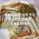 대포대게활어회마트 | 속초 대포항횟집 배터지는 대게세트 선복호활어회센타 애견동반
