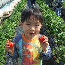 벌말농원 이미지