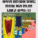 당근버스