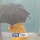 바람 초속 10m/s에서 40m/s 실제 체감.gif 이미지